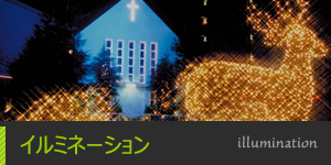 イルミネーション